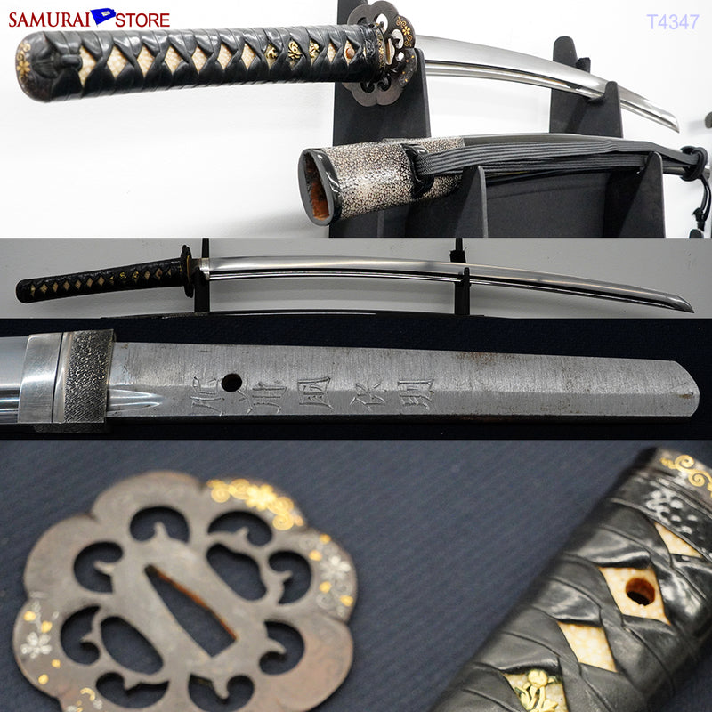 T4347 Katana Sword YASUNORI in Ornate Mounting - Contemporary Bo-Hi