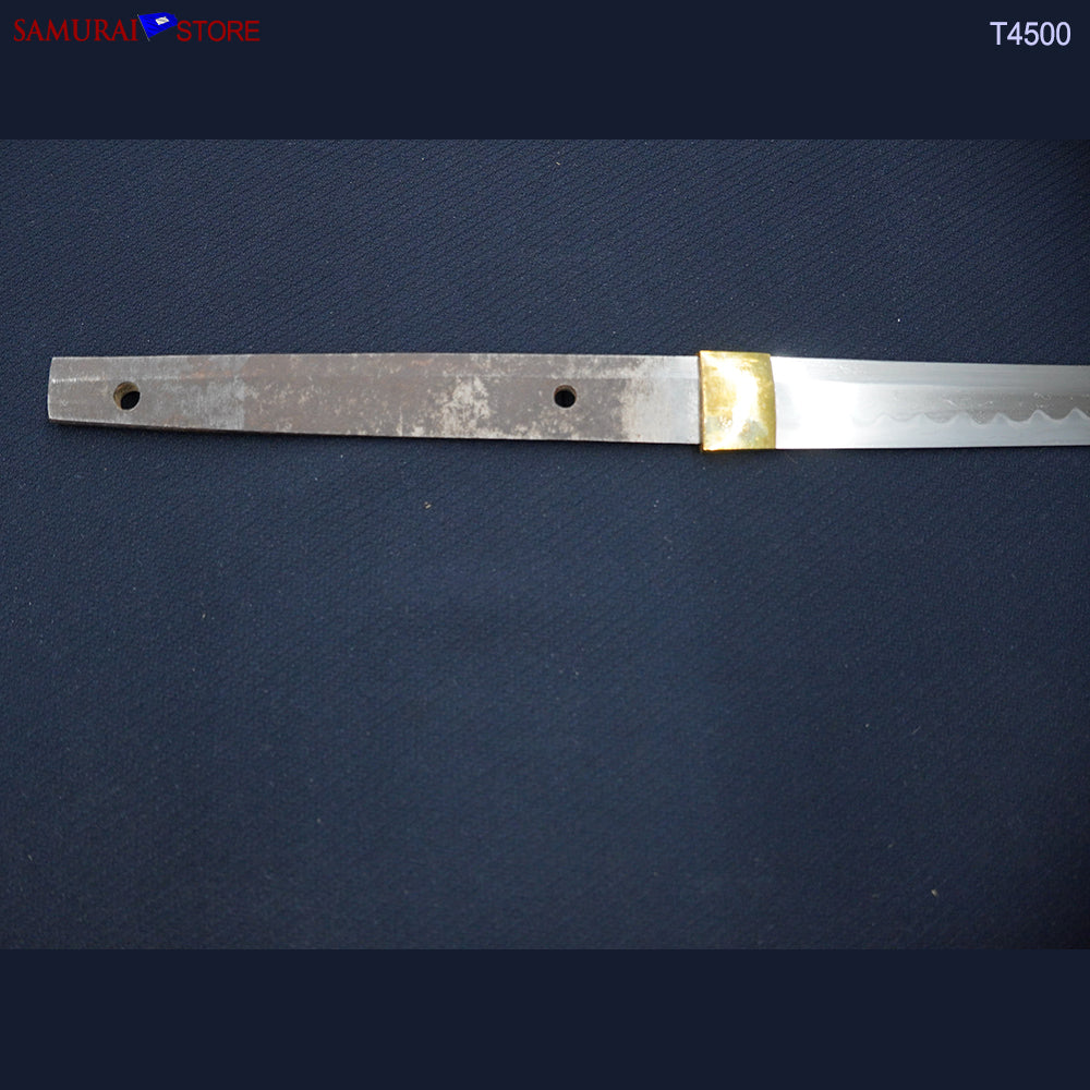 T4500 Wakizashi Antique Sword in Shikomi-Zue Cane | SAMURAI STORE