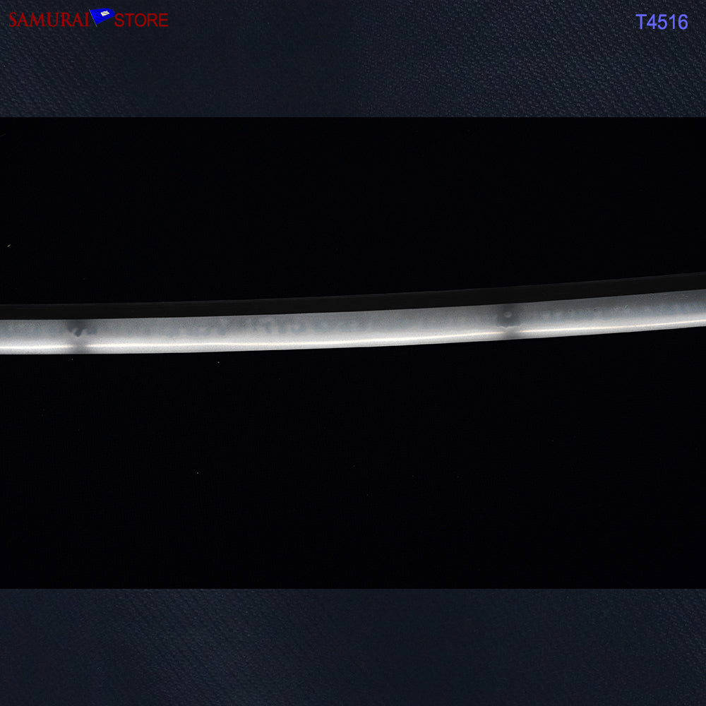 T4516 Antique Katana Sword NAGANOBU - NBTHK Hozon certificate Edo