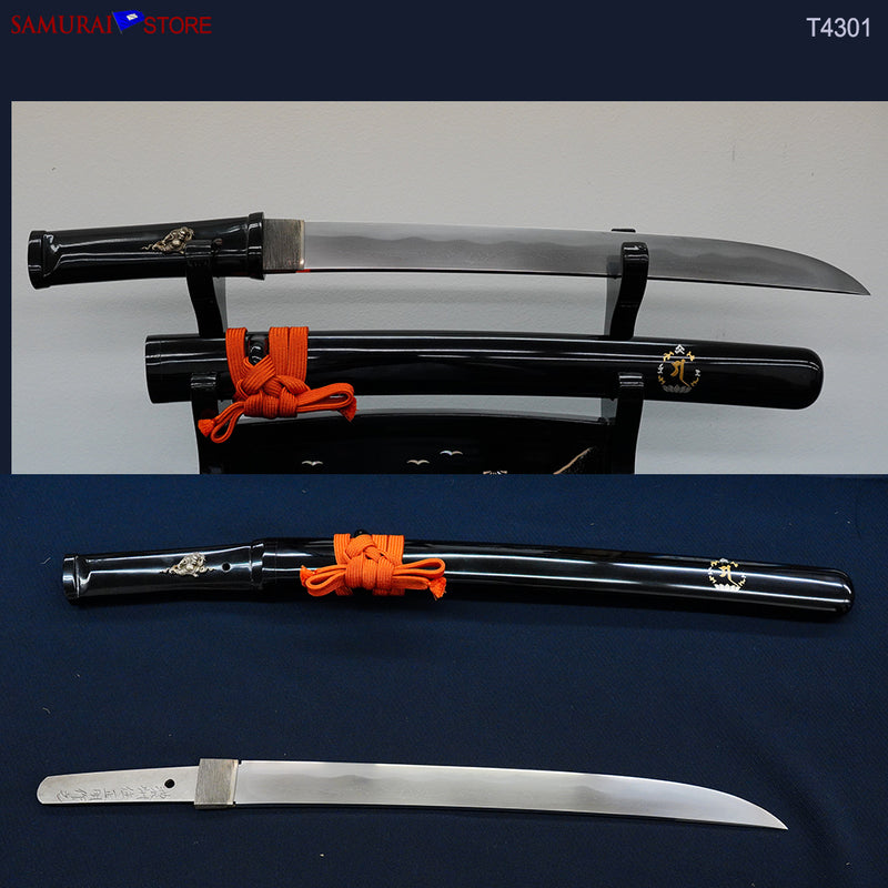 Mua kiem nhat ryan sword chính hãng giá tốt tháng 7, 2023 | Giaonhan247.com